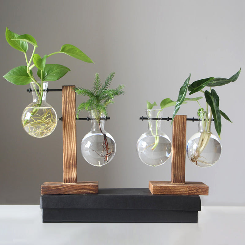 Vintage Glass Hydroponic