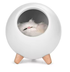 USB Charging Cat Night Light